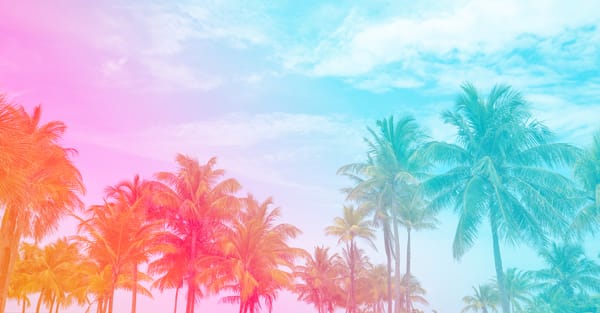 Palm Tree Daydream